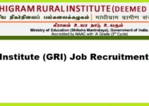 Gandhigram Rural Institute (GRI) Job Recruitment for 01,Project Fellow Post