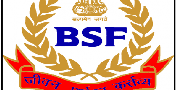 bsf logo1