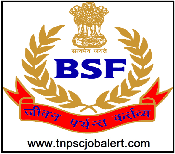 bsf logo1