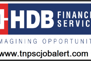 HDB Financial Services Job Recruitment 2023 For Various, Team Leader Post
