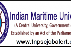 Indian Maritime University Job Recruitment 2023 For 14, Assistant Post