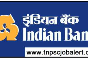Indian Bank Job Recruitment 2023 For 203, Specialist Officer Post