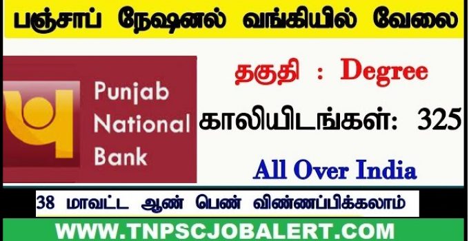Punjab National Bank Job Recruitment 2023 For 240, Specialist Officers (SO) Post