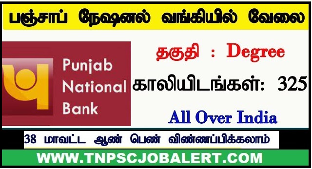 Punjab National Bank Job Recruitment 2023 For 240, Specialist Officers (SO) Post